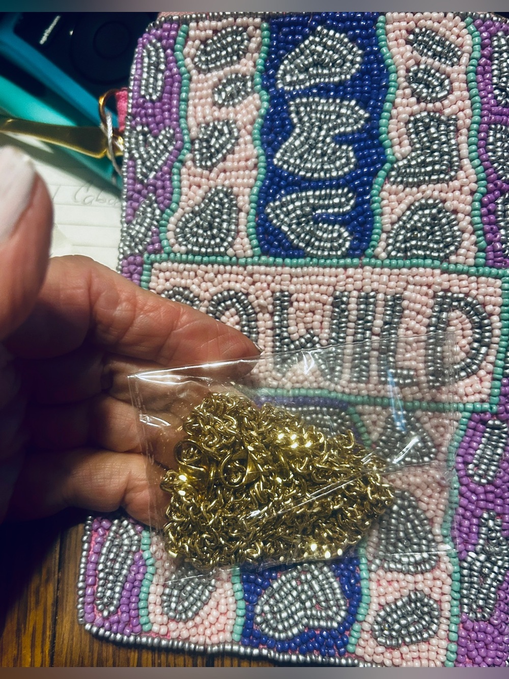 Kay Lee Beaded Cross Body Bag Purse GO WILD NEW